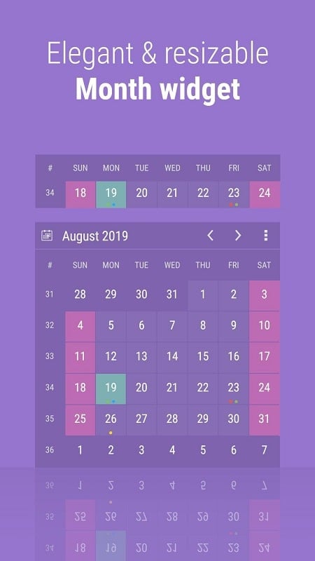 Calendar Widget: Month/Agenda 7.91_20241113 (Unlocked Pro)