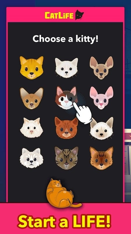 CatLife: BitLife Cats 1.8.4 (Top Cat acquired)