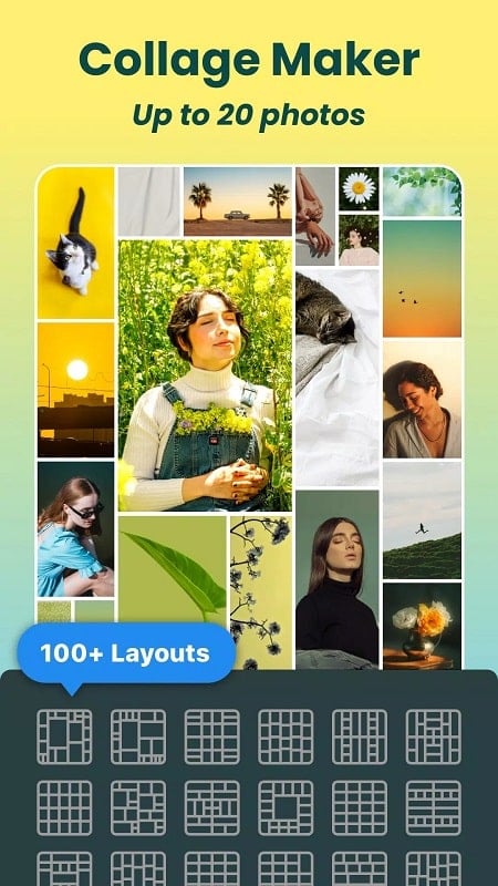 DoFoto 1.205.52 (Unlocked Pro)