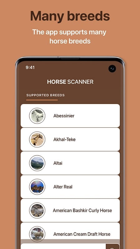 Horse Scanner 17.2.6-G (Premium Unlocked)