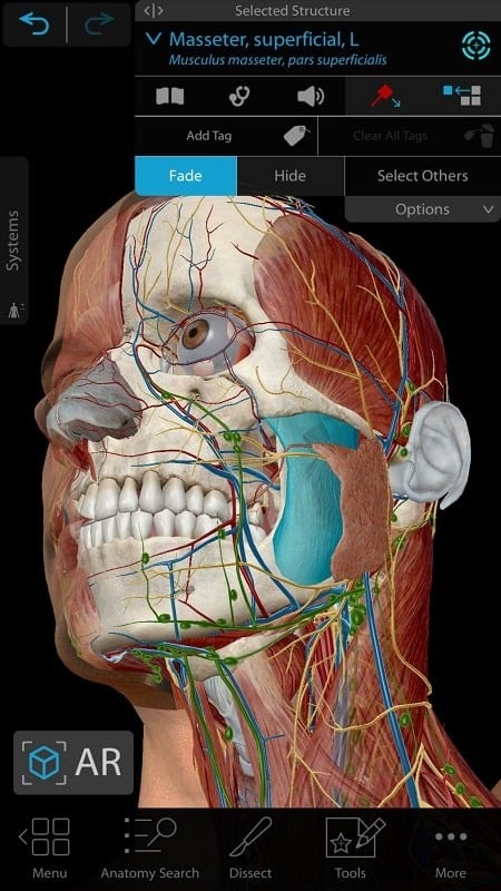 Human Anatomy Atlas 2021 2025.00.012 (Premium unlocked)