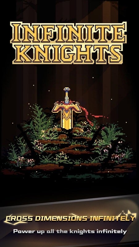 Infinite Knights 1.1.37 (Unlimited money)