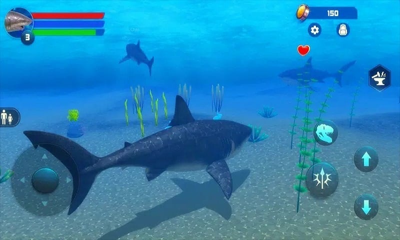 Megalodon Simulator 1.1.6 (Menu/Unlimited Money/Mana)