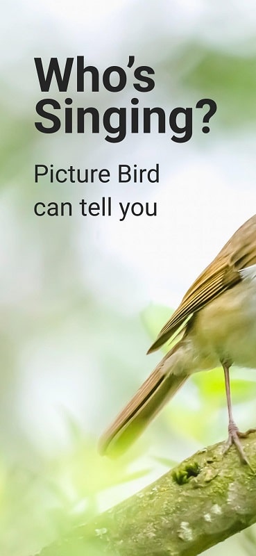 Picture Bird 2.9.29 (Unlocked Premium)