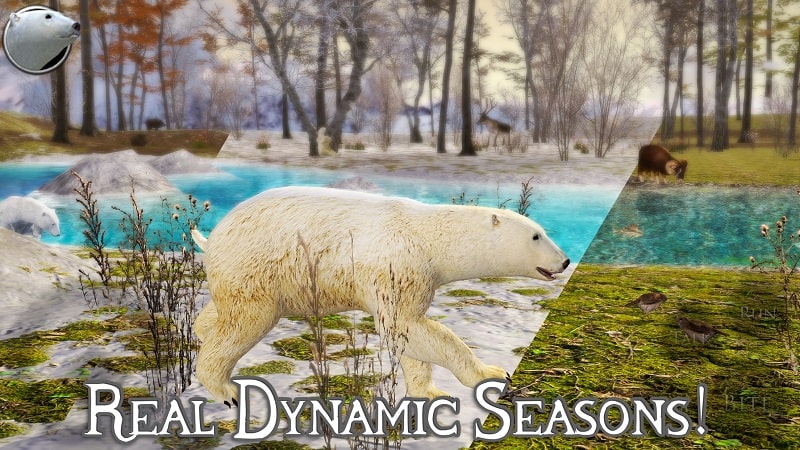 Polar Bear Simulator 2 3.0 (Unlimited Skill points)