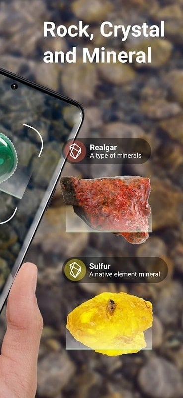 Rock Identifier: Stone ID 2.3.43 (Unlocked Premium)