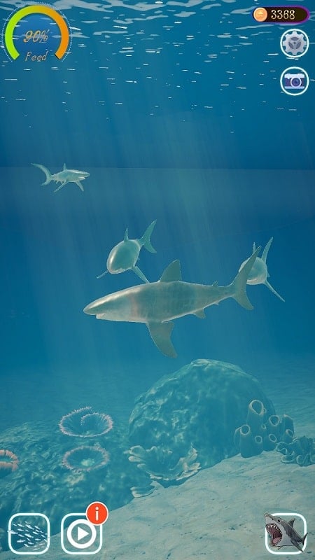 Shark Ocean 1.2.2 (Free Upgrade)