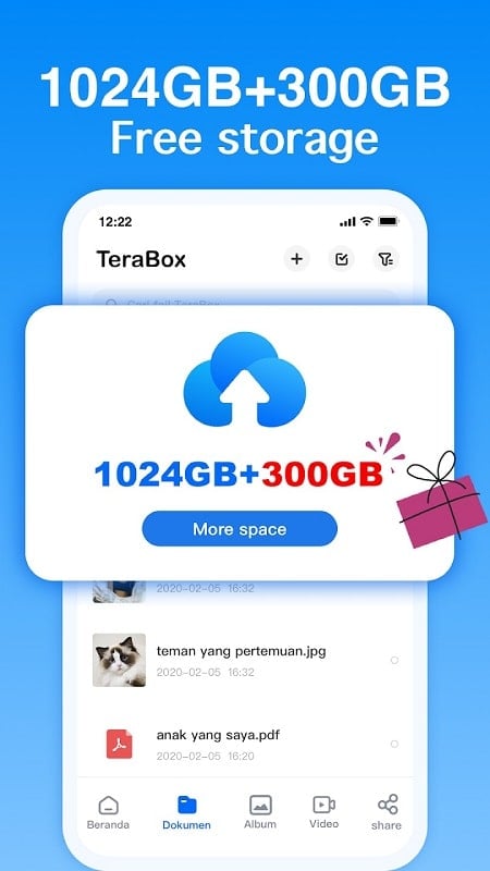 TeraBox 3.39.0 (Unlocked Premium)