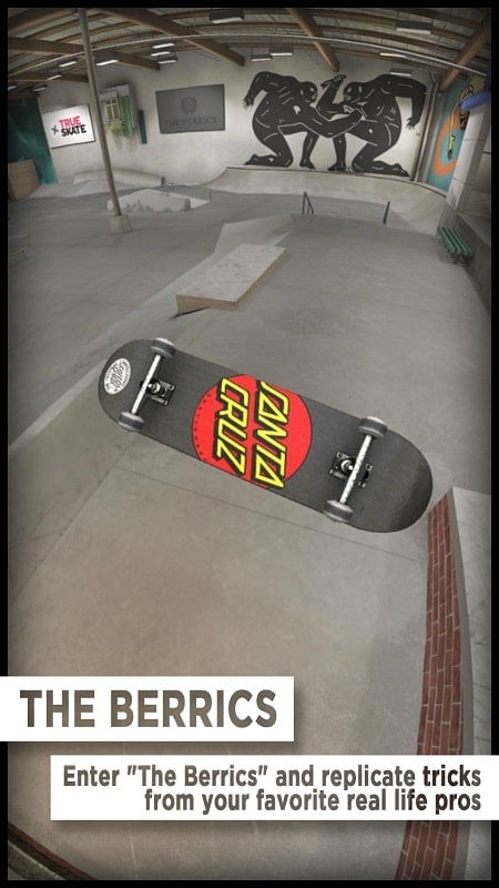 True Skate 1.5.91 (Unlimited money)