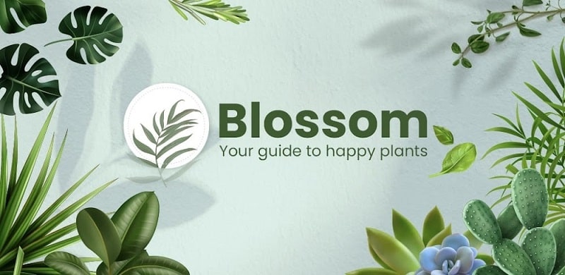 Blossom 1.56.4 (Premium Unlocked)