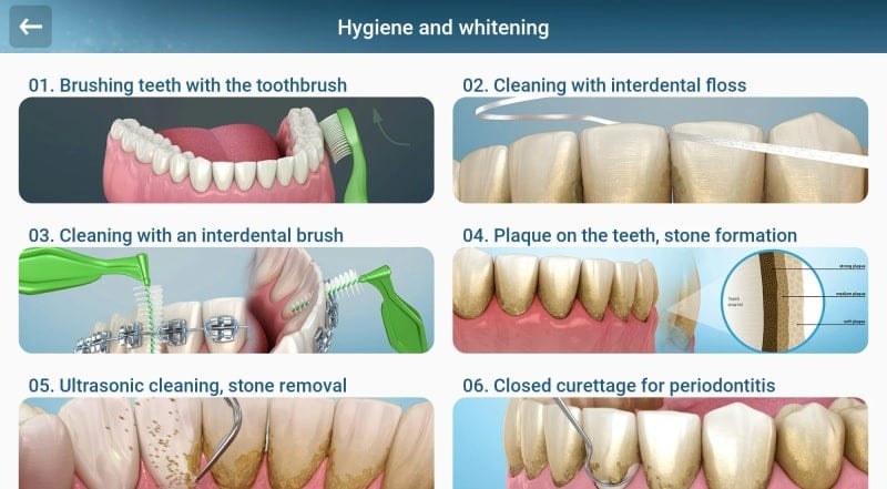 Dental 3D Illustrations 2.0.95 (Subscribed)