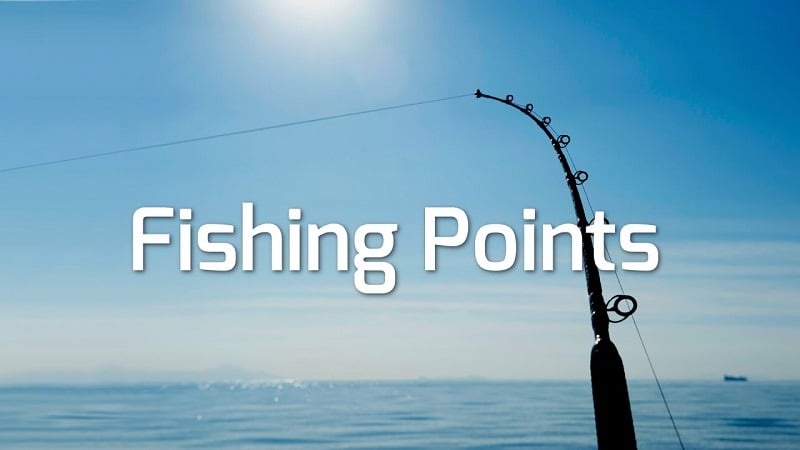 Fishing Points 4.3.8 (Premium unlocked)