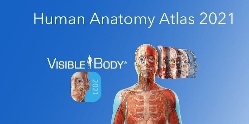 Human Anatomy Atlas 2021 2025.00.012 (Premium unlocked)