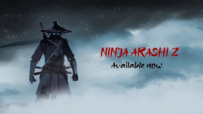 Ninja Arashi 2 1.7.1 (Unlimited money, unlocked)