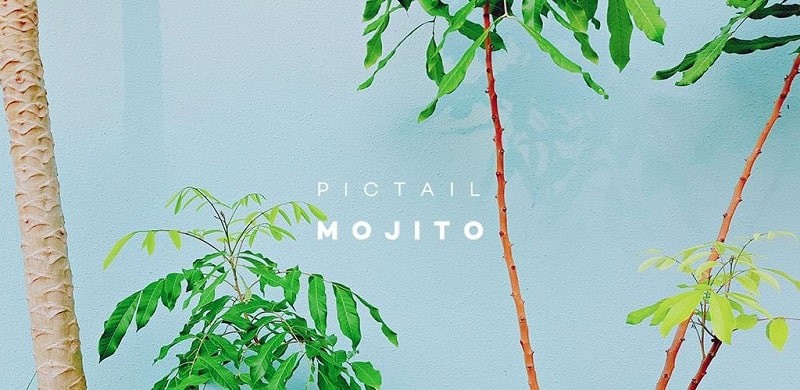 PICTAIL – Mojito 1.5.6.0 (N/A)