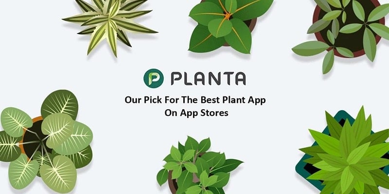 Planta 2.18.10 (Premium Unlocked)