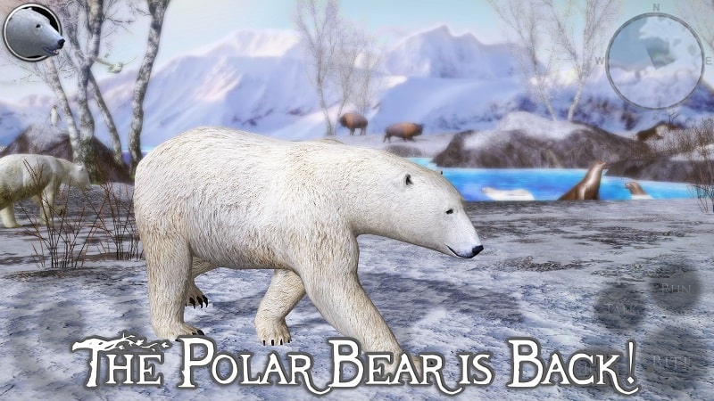 Polar Bear Simulator 2 3.0 (Unlimited Skill points)