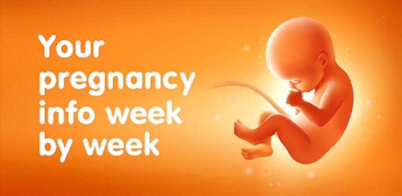 Pregnancy Tracker Week by Week 3.124.0 (Unlocked Premium)