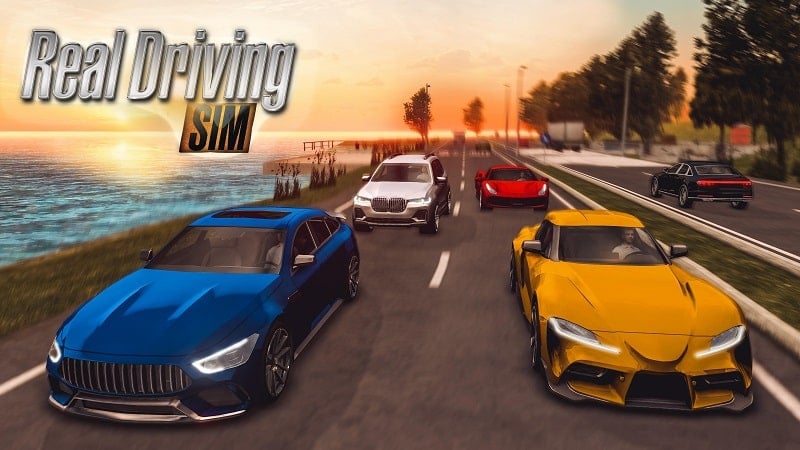 Real Driving Sim 6.0 (Unlimited money)