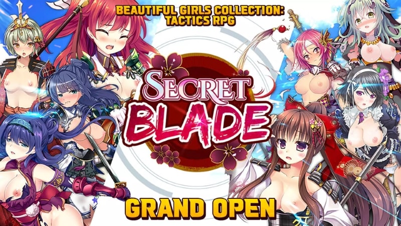 Secret Blade 1.0.3 (Menu/High stats)