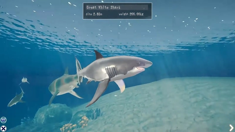 Shark Ocean 1.2.2 (Free Upgrade)