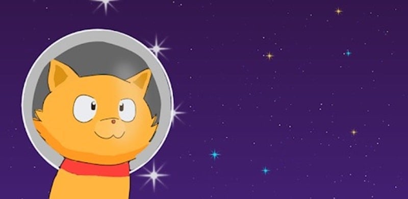 Space Cat 1.9.17 (Menu/Add Gold)